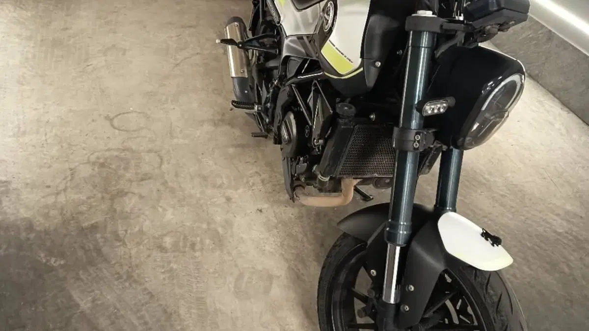 Benelli Leoncino 250 (2021 - 25)  (7)