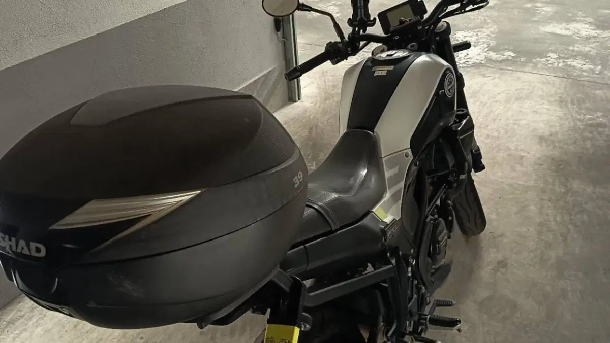 Benelli Leoncino 250 (2021 - 25)  (8)