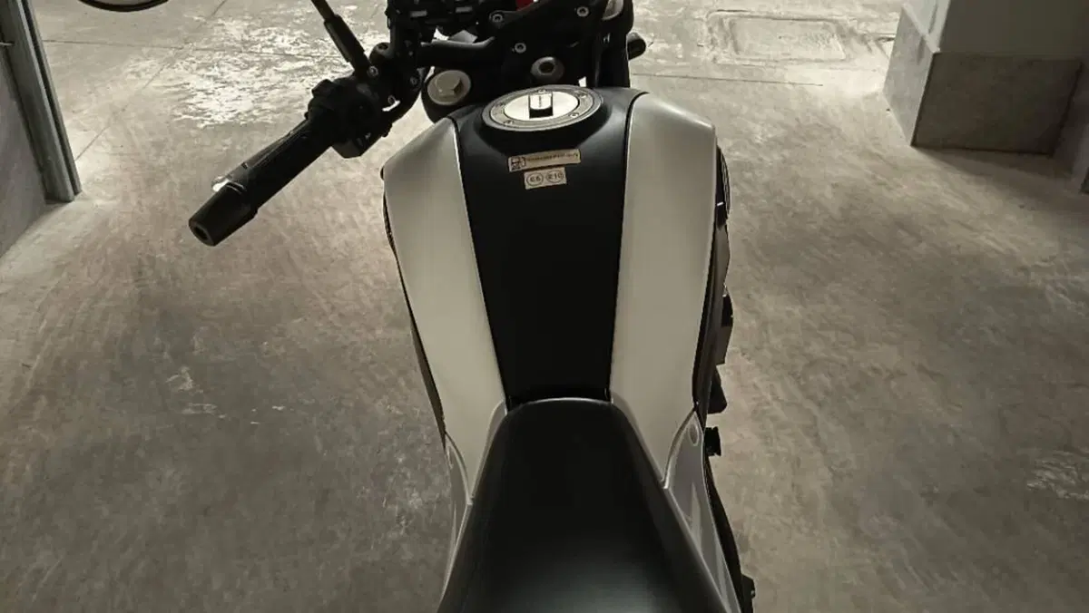 Benelli Leoncino 250 (2021 - 25)  (9)