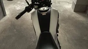Benelli Leoncino 250 (2021 - 25)  (9)