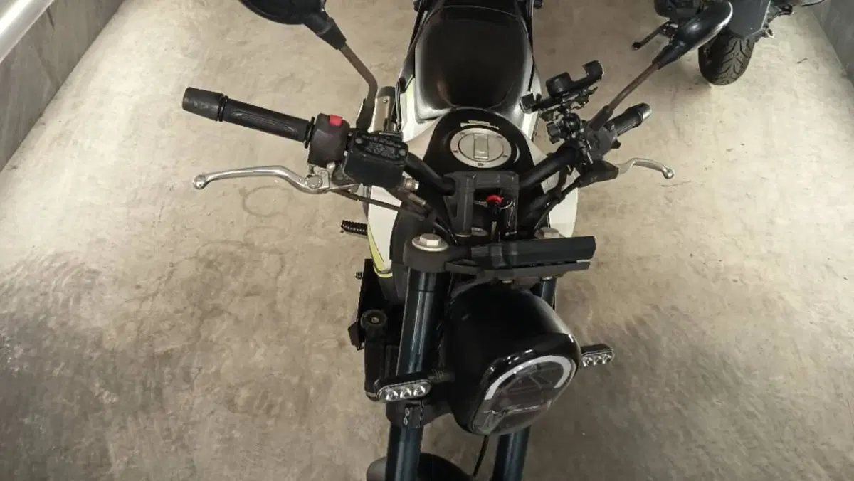 Benelli Leoncino 250 (2021 - 25)  (10)