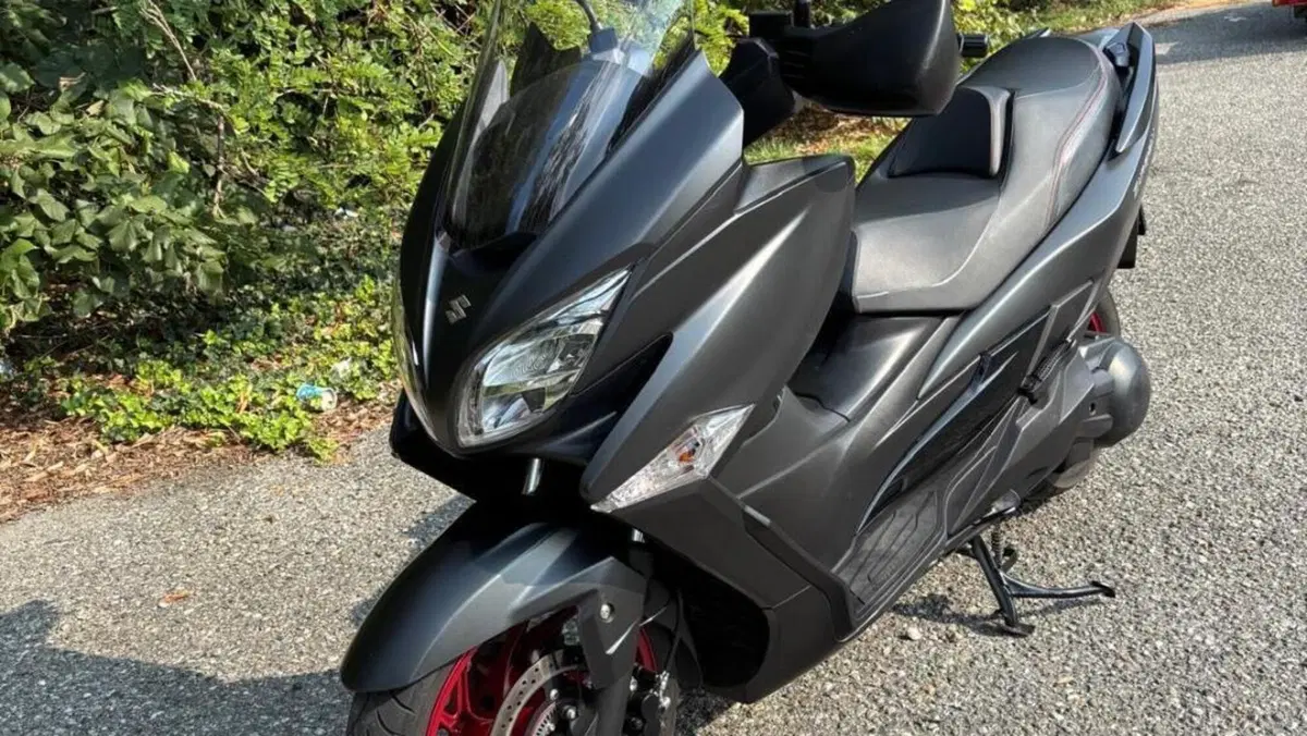 Suzuki Burgman AN 400 (2017 - 20)  (6)