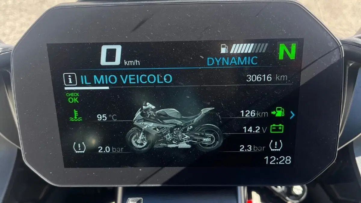 Bmw S 1000 RR (2019 - 20)  (5)