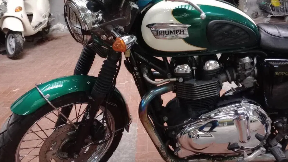 Triumph Bonneville T100 (2008 - 16)  (7)