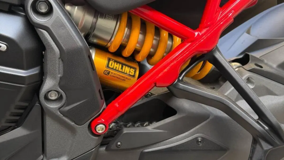 Ducati Multistrada V4 Pikes Peak (2021 - 24)  (6)