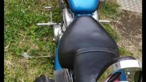 Honda   (5)