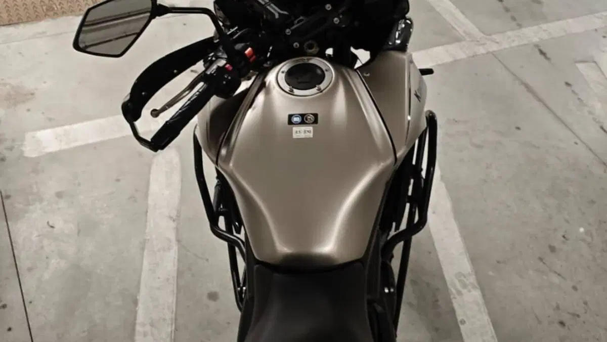 Kawasaki Versys 650 (2017 - 20)  (4)