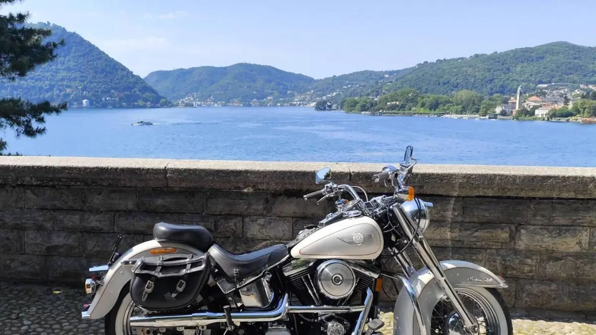 Harley-Davidson 1340 Heritage Special (1993 - 96)  (11)