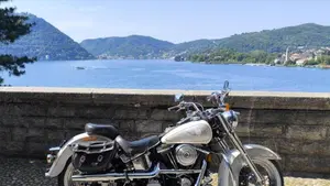 Harley-Davidson 1340 Heritage Special (1993 - 96)  (11)