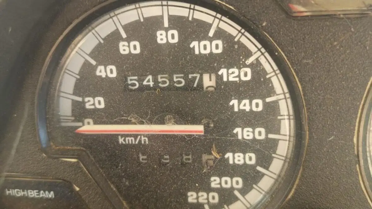 Yamaha   (7)