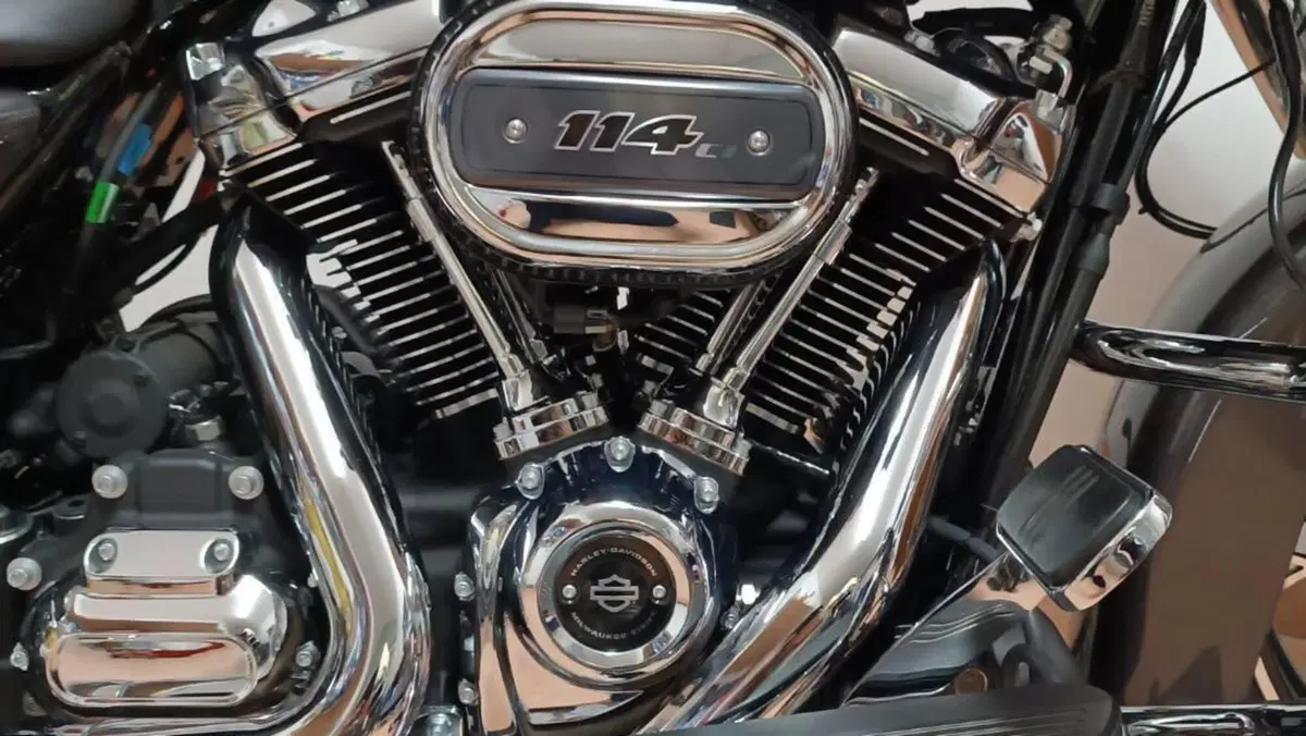 Harley-Davidson Street Glide Special (2021 - 23)  (2)