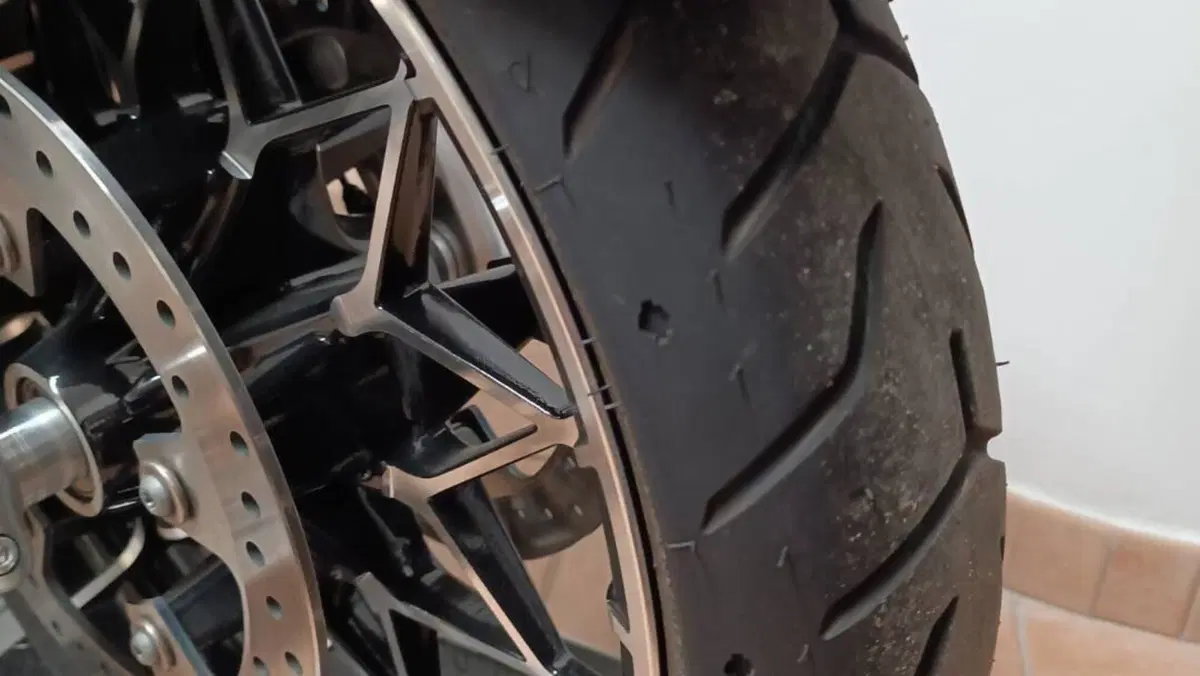 Harley-Davidson Street Glide Special (2021 - 23)  (8)