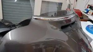 Harley-Davidson Street Glide Special (2021 - 23)  (10)