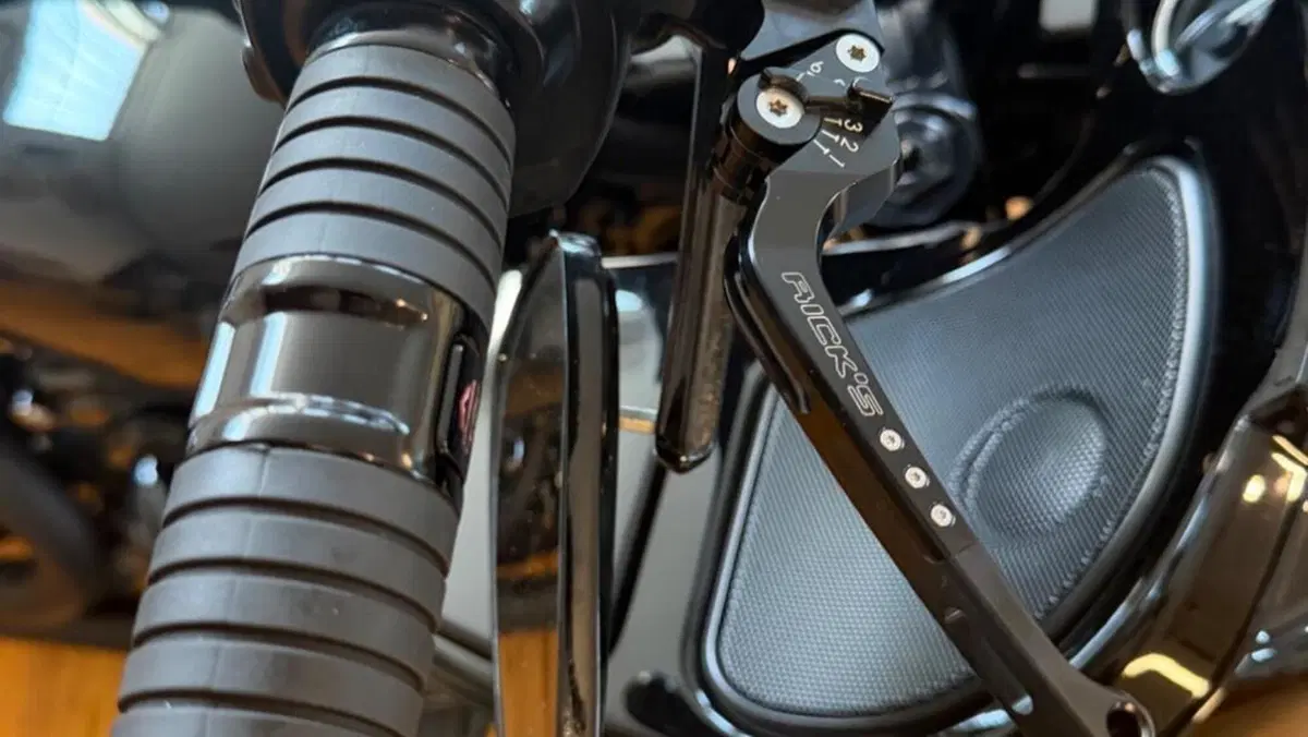 Harley-Davidson 114 Road Glide Special (2019 - 20) - FLTRXS  (2)