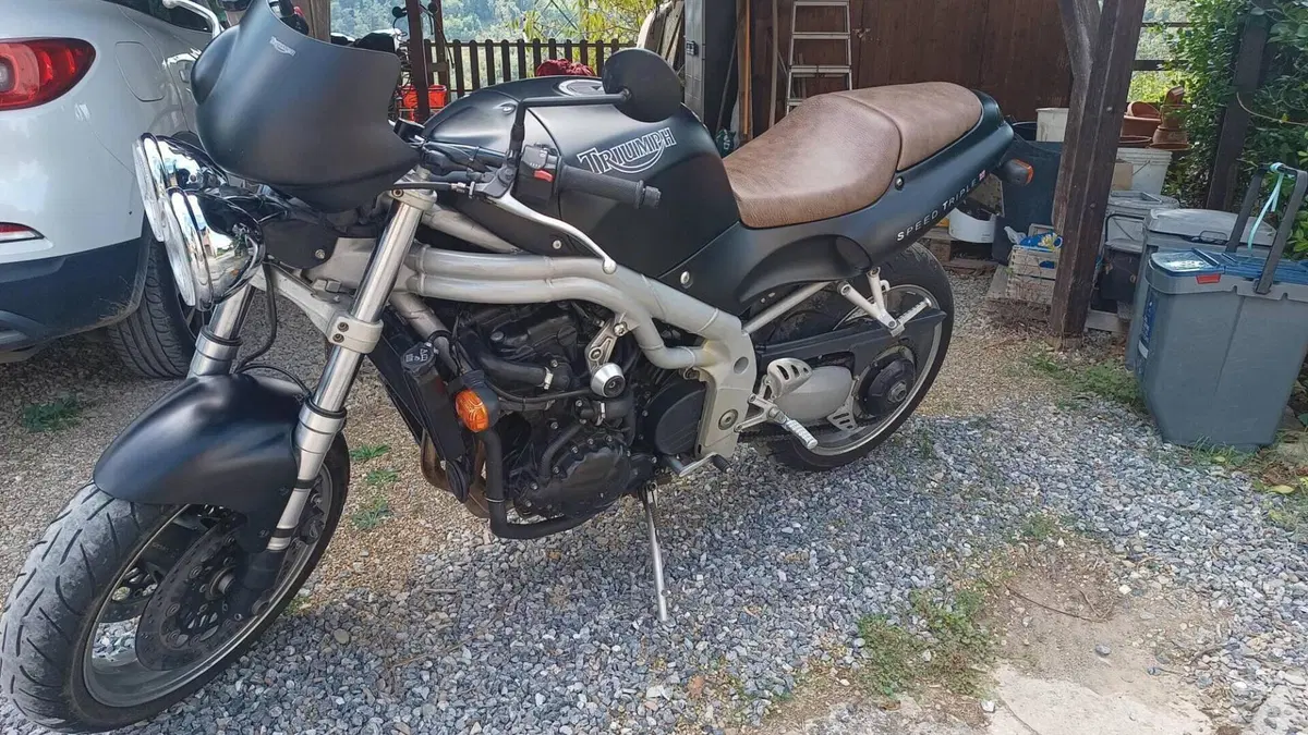 Triumph Speed Triple 955 (1998 - 01)  (2)