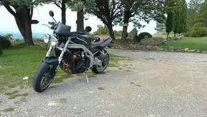 Triumph Speed Triple 955 (1998 - 01)  (4)