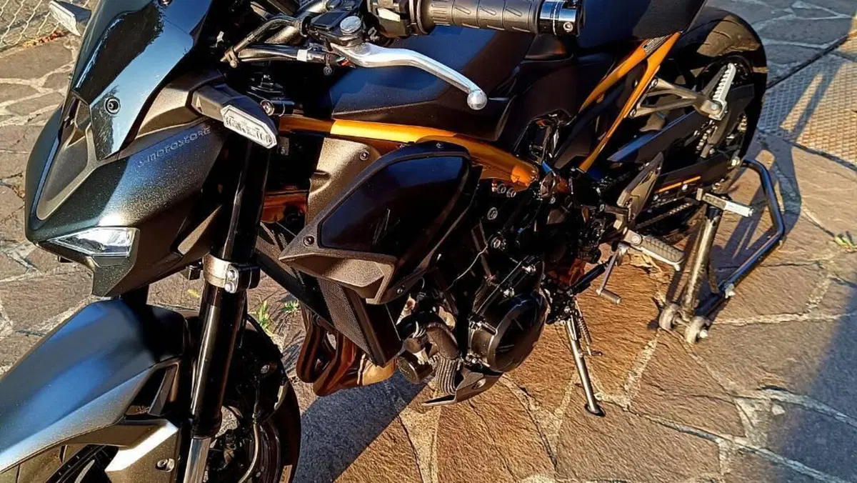Kawasaki Z 900 (2025 - 27)  (2)