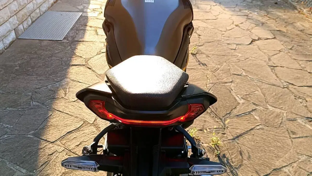 Kawasaki Z 900 (2025 - 27)  (4)