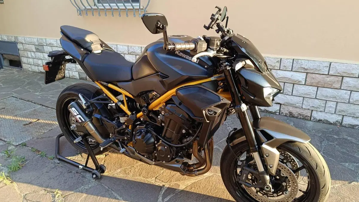 Kawasaki Z 900 (2025 - 27)  (6)