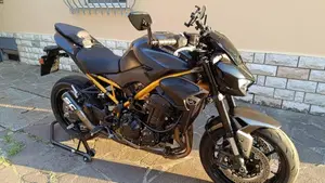 Kawasaki Z 900 (2025 - 27)  (6)