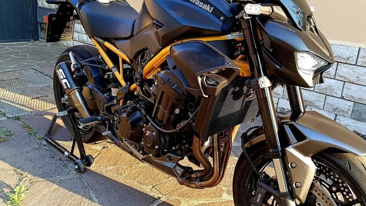 Kawasaki Z 900 (2025 - 27)  (7)