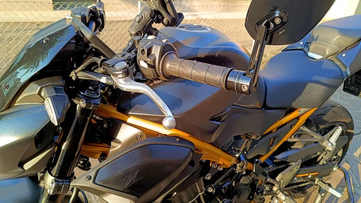 Kawasaki Z 900 (2025 - 27)  (8)