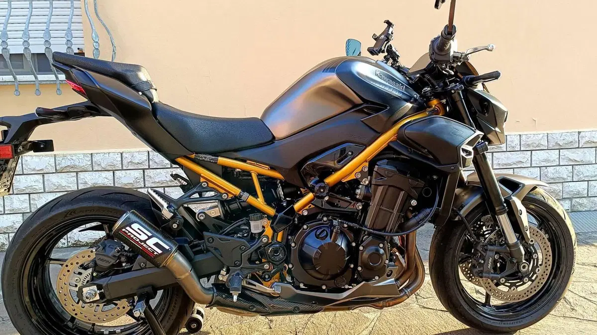 Kawasaki Z 900 (2025 - 27)  (13)