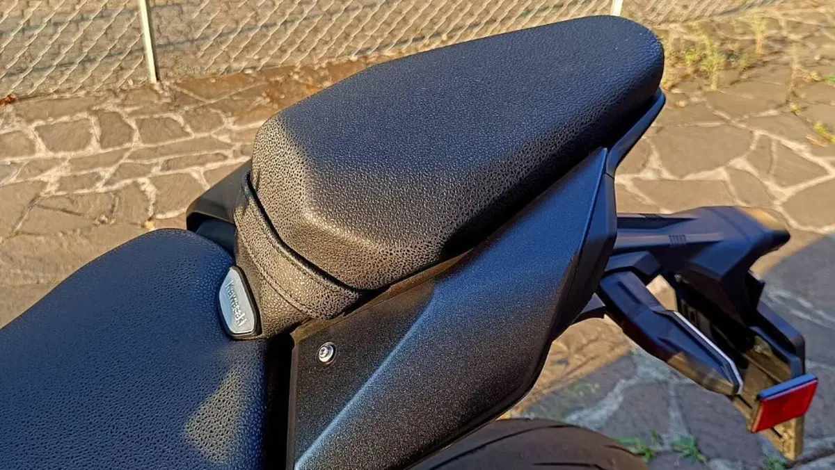 Kawasaki Z 900 (2025 - 27)  (15)
