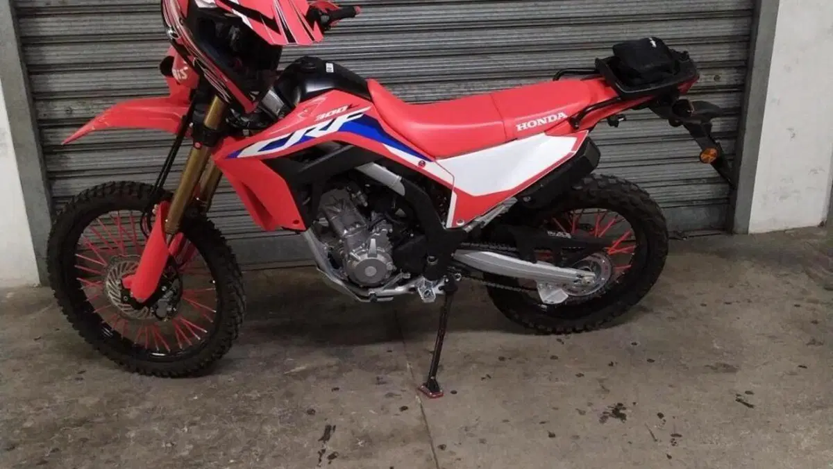 Honda CRF 300L (2021 - 24)  (2)