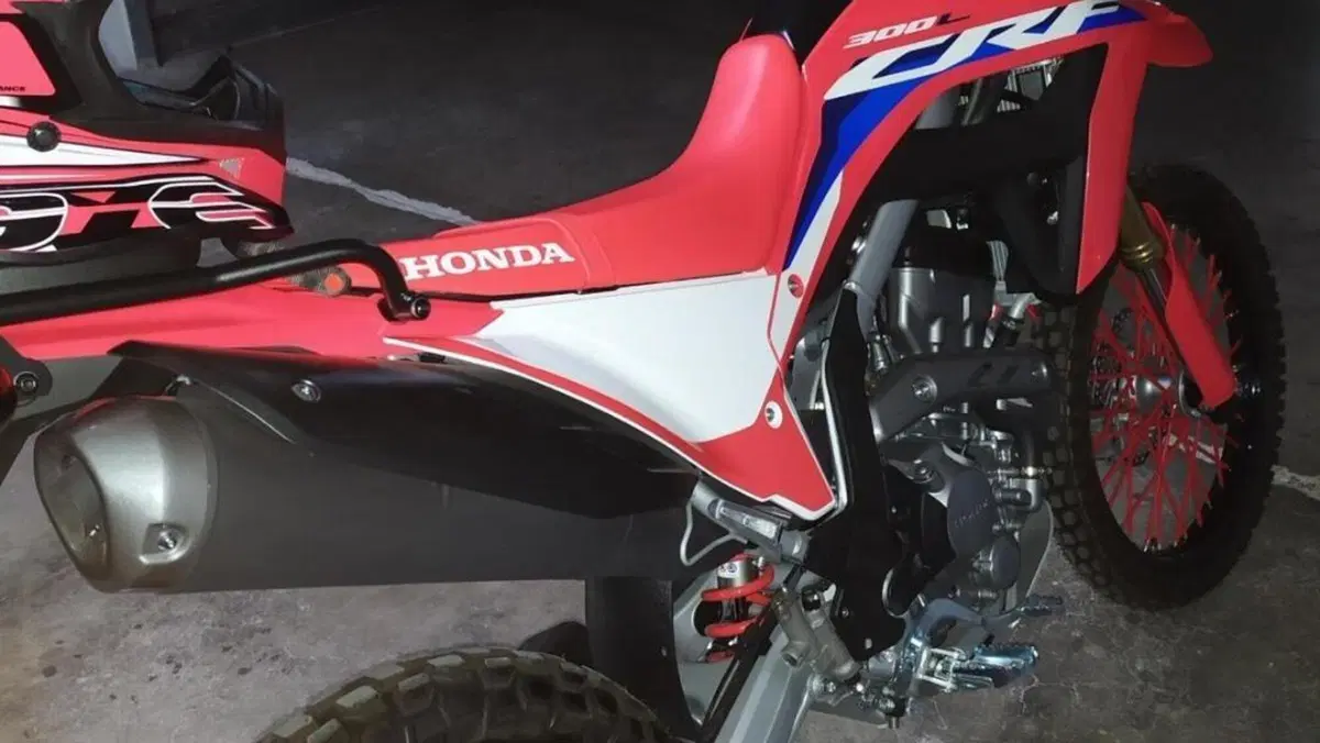 Honda CRF 300L (2021 - 24)  (3)