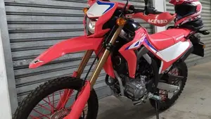 Honda CRF 300L (2021 - 24)  (4)