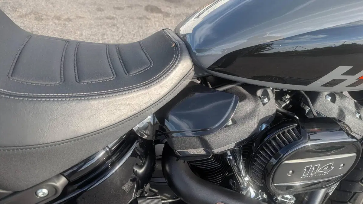 Harley-Davidson Fat Bob 114 (2021 - 25)  (6)