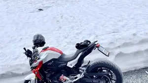 Bmw F 900 R (2017 - 20)  (2)