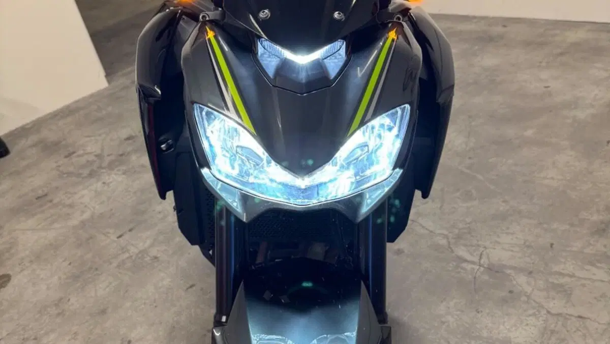 Kawasaki Z 900 Performance A2 (2019)  (3)