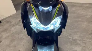 Kawasaki Z 900 Performance A2 (2019)  (3)