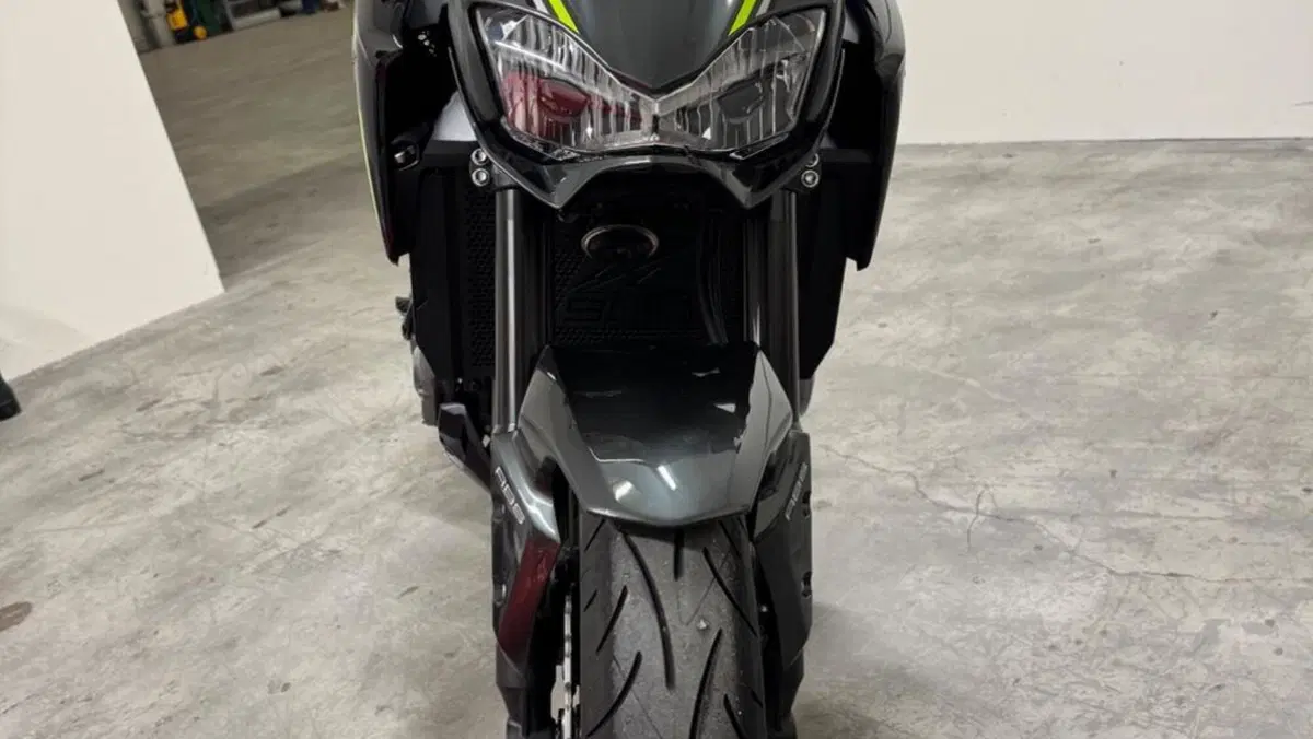 Kawasaki Z 900 Performance A2 (2019)  (4)