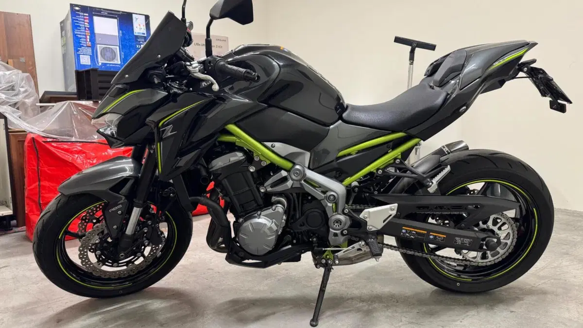 Kawasaki Z 900 Performance A2 (2019)  (11)