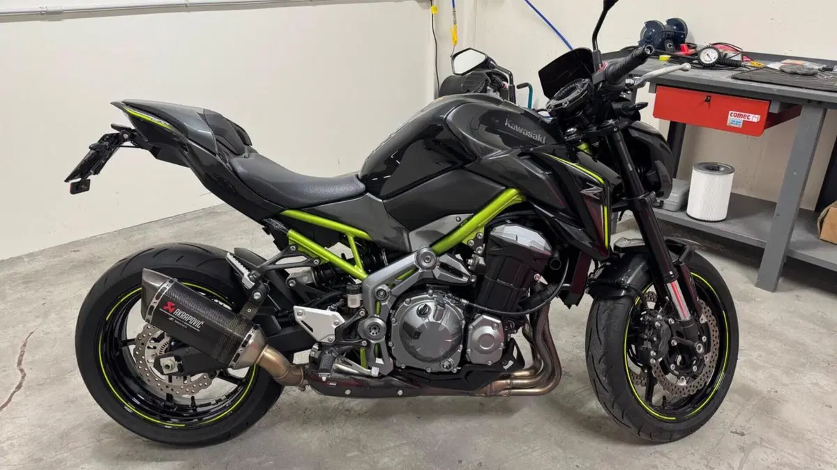 Kawasaki Z 900 Performance A2 (2019)  (12)