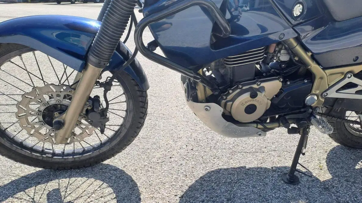 Kawasaki KLE 500 (2005 - 06)  (12)