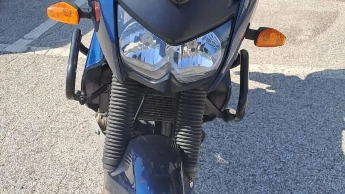 Kawasaki KLE 500 (2005 - 06)  (17)