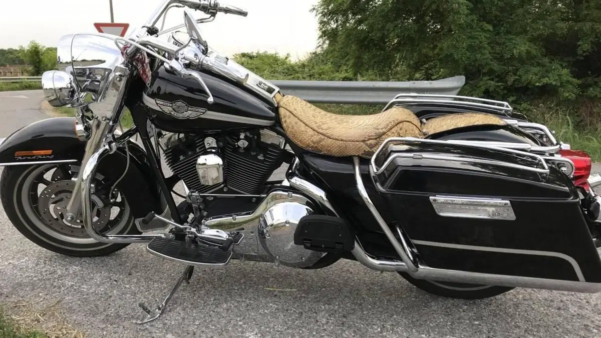 Harley-Davidson   (4)