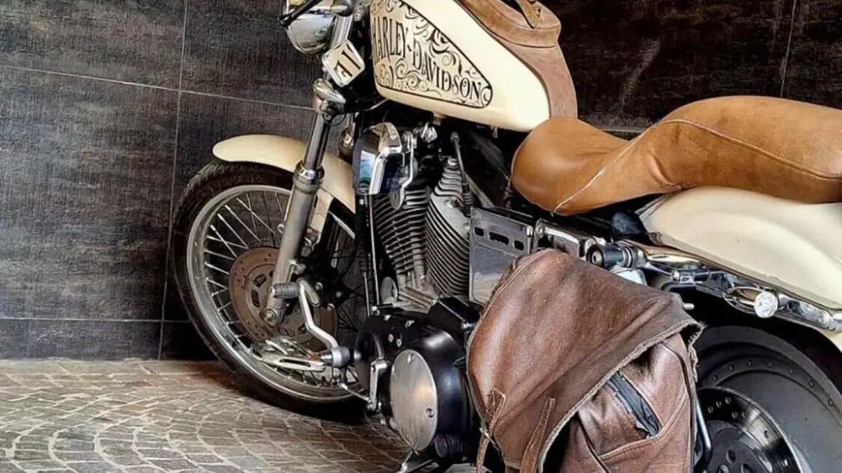 Harley-Davidson   (2)