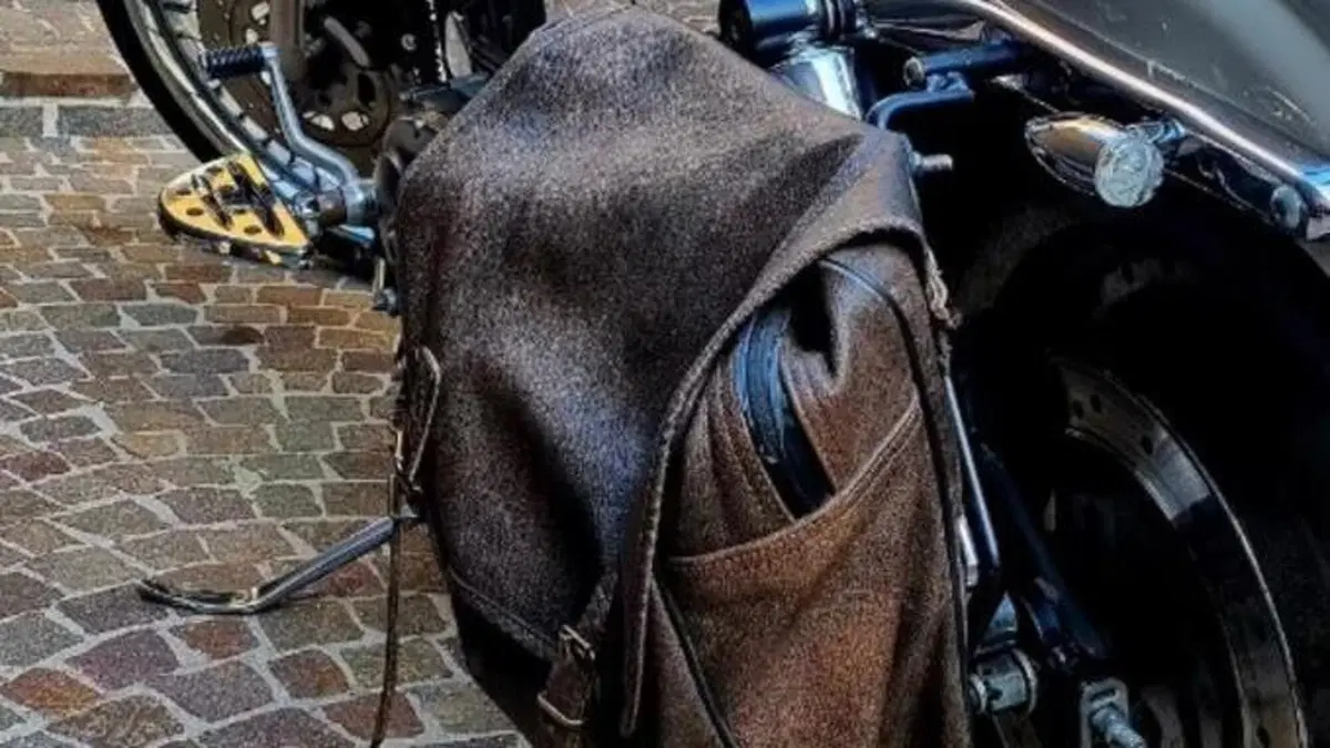 Harley-Davidson   (5)