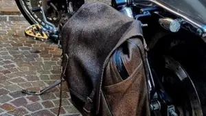 Harley-Davidson   (5)