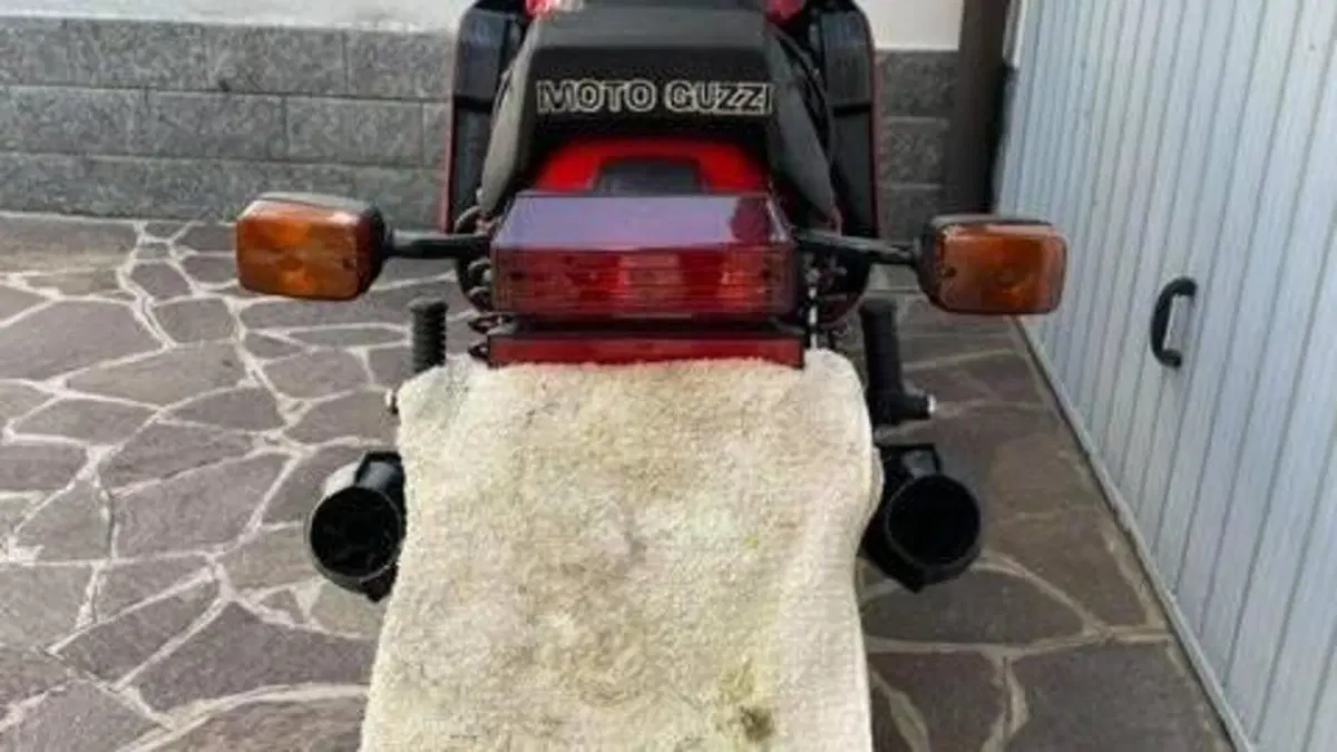 Moto Guzzi   (9)
