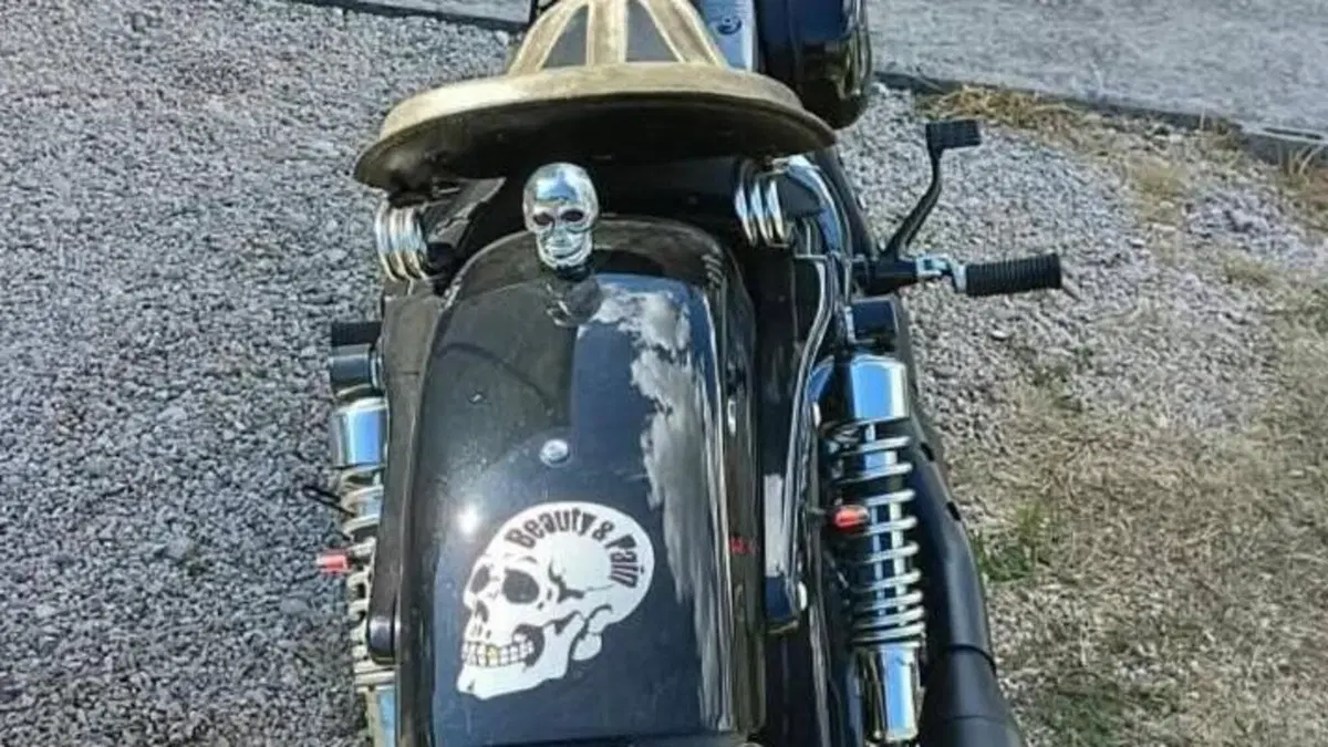 Harley-Davidson 1200 Forty-Eight (2010 - 15)  (2)