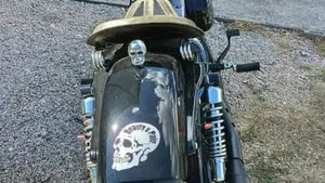 Harley-Davidson 1200 Forty-Eight (2010 - 15)  (2)