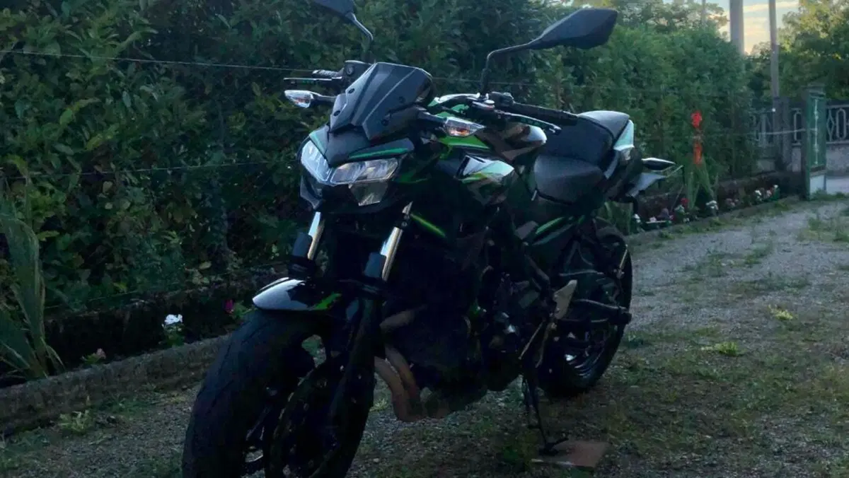 Kawasaki Z 650 (2021 - 24)  (3)