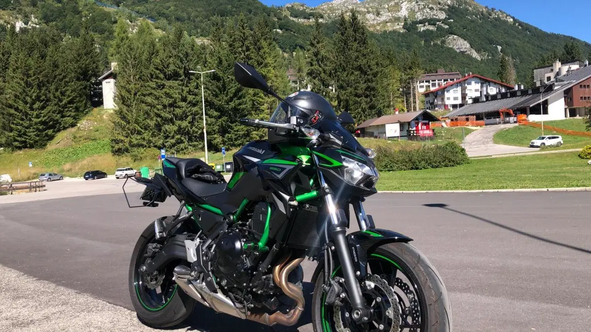 Kawasaki Z 650 (2021 - 24)  (7)