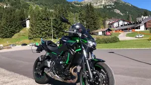 Kawasaki Z 650 (2021 - 24)  (7)